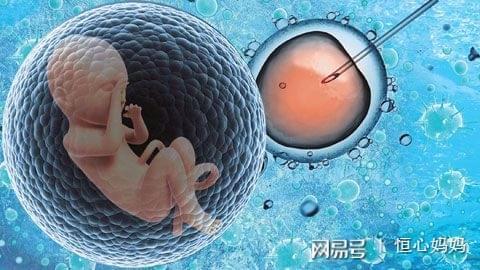专业同志代怀服务收费标准生殖中心